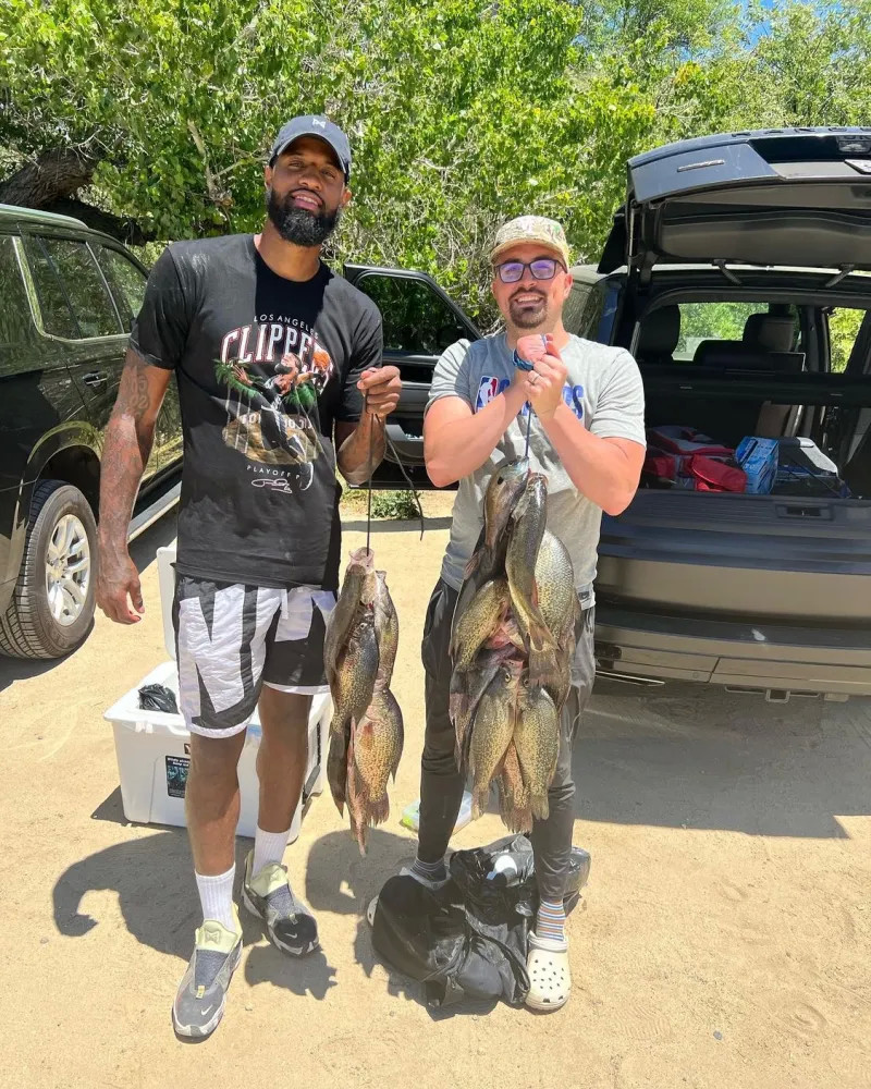 导下增强了 导下增强了