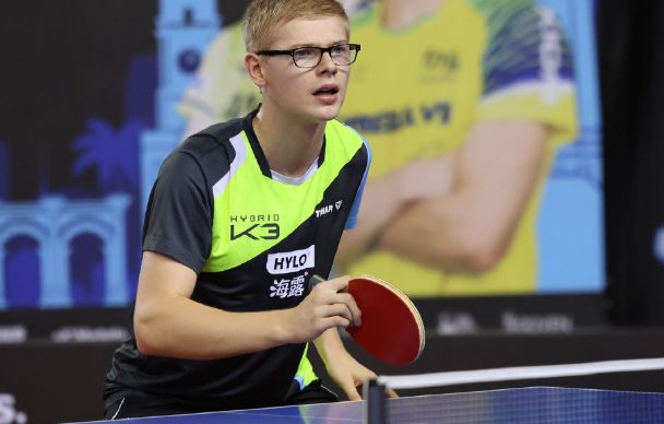 心理素质的 心理素质的