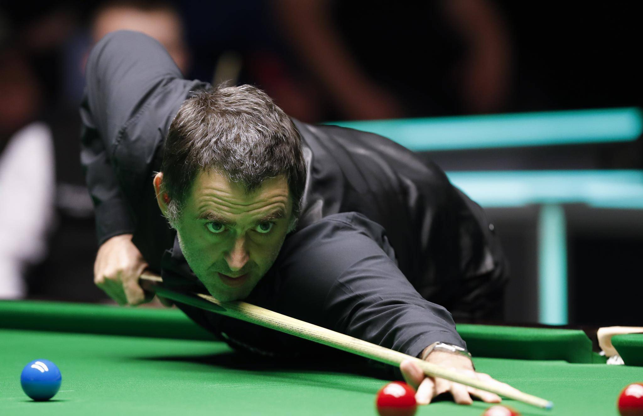 这一系列体 这一系列体